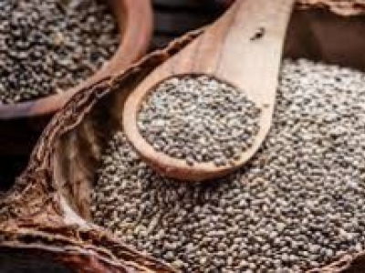 Les graines de chia, vous connaissez ?