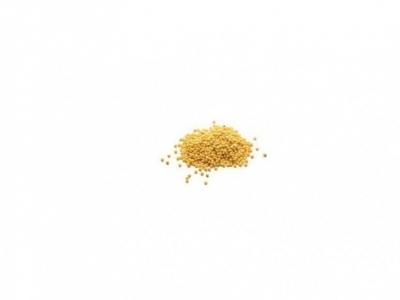 Millet fermenté