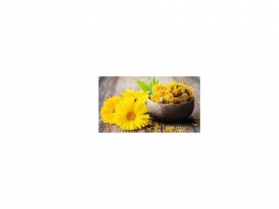 Fleurs de souci ou calendula